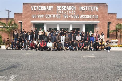 Veterinarians in research institutions