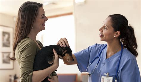 Veterinarians with client