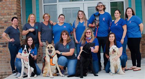 Veterinarians with team