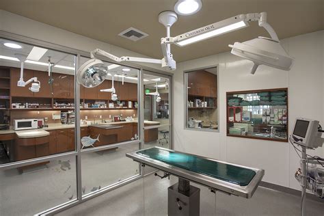 Veterinary clinics and hospitals