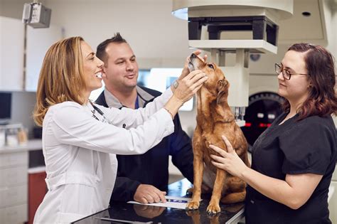 Veterinary Specialization