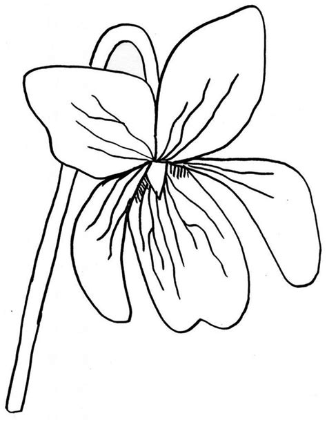 Violet coloring page