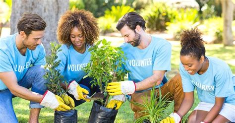 A group of people volunteering at a community garden, illustrating the impact of volunteer work and community service.