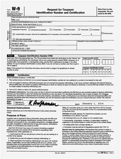 W9 Form Printable Example