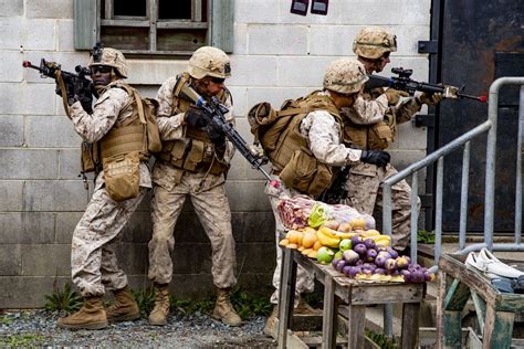 Warrant officers in training