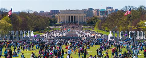 Crowd at a festival in Washington D.C.