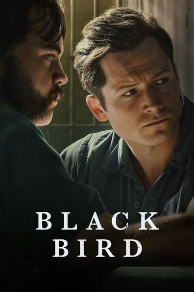 Watch Blackbird Online