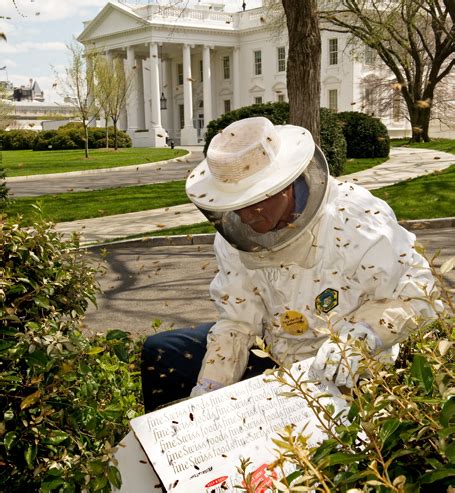 White House Beehive