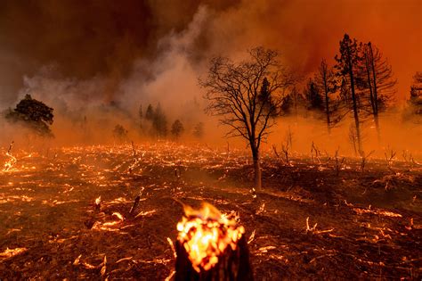 Evacuees fleeing the La Wildfire