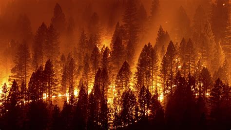 Firefighters battling the La Wildfire