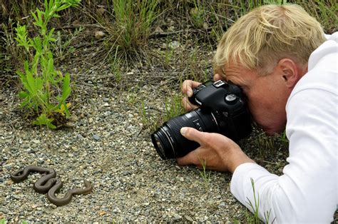 Wildlife biologist jobs