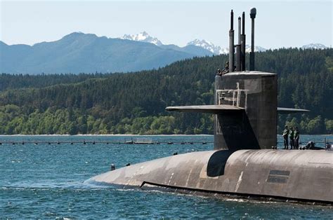 Birdwatching in Sub Base Washington State