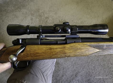 Winchester Model 70 Bolt Action Rifle