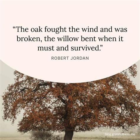 Wind and Resilience