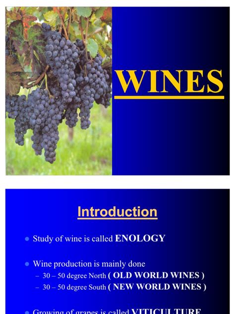 Introduction to Wine