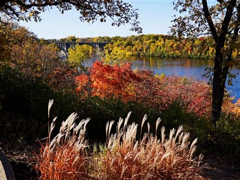 Winter Colors in Minnesota