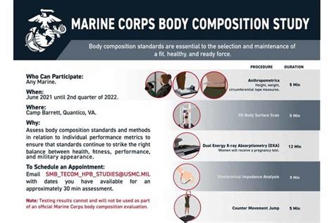 Women in Marines Body Fat