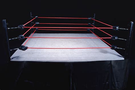 Wrestling ring