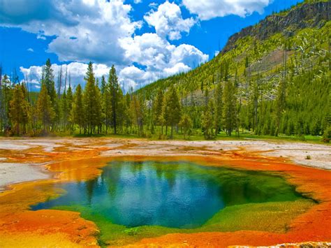 Yellowstone National Park Image