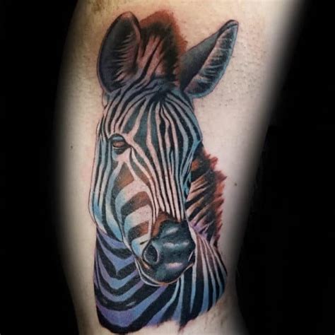 Zebra tattoos introduction