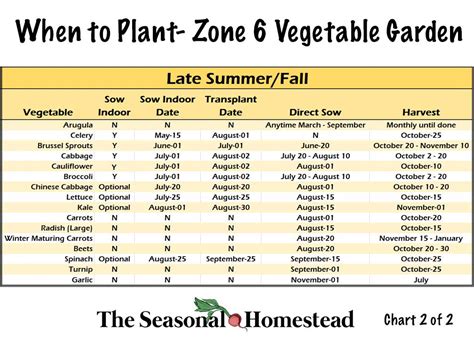 Zone 6 Gardening Guide